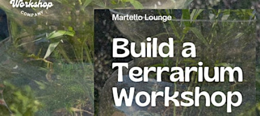 Build a Terrarium Workshop