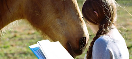 Classical Riding Book Club