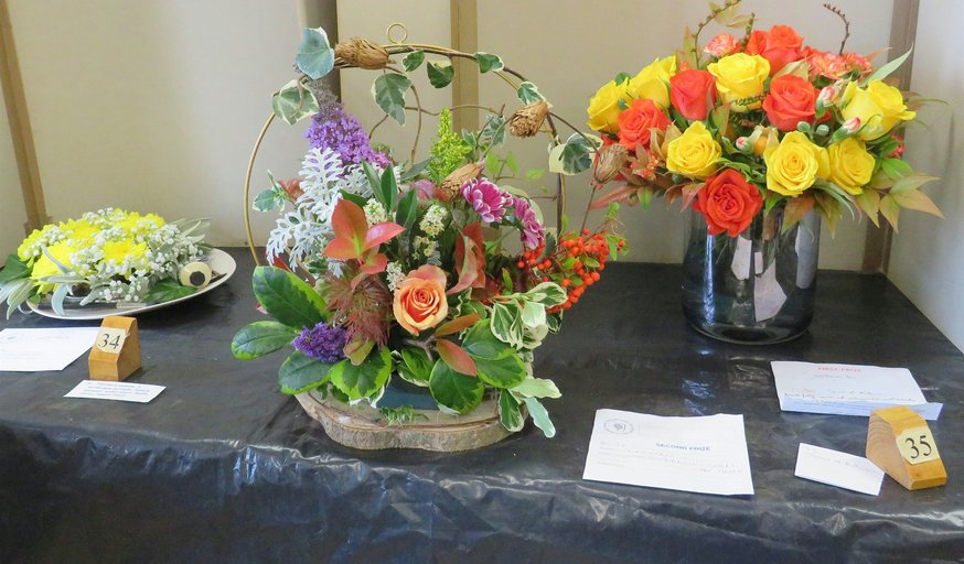 BBC Gardener's Question Time