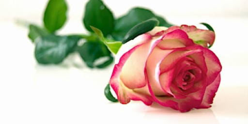 1 on 1 Love & Relationship Consultation