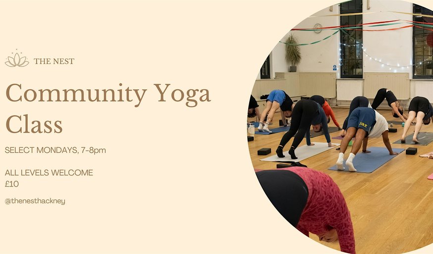 Hatha Vinyasa Yoga Class | Build Strength & Stability | The Nest