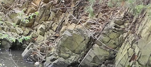 Naturalist Walk: Geology