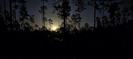 Guided Full Moon Hike