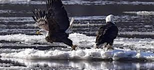 Soaring for Taft Fundraising Luncheon