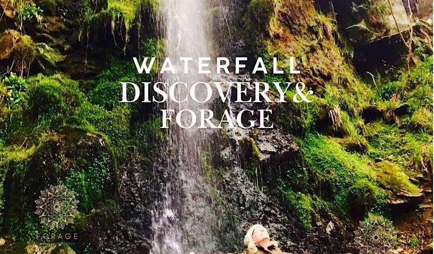 Waterfall Discovery & Winter Foraging Walk With Living Plant music