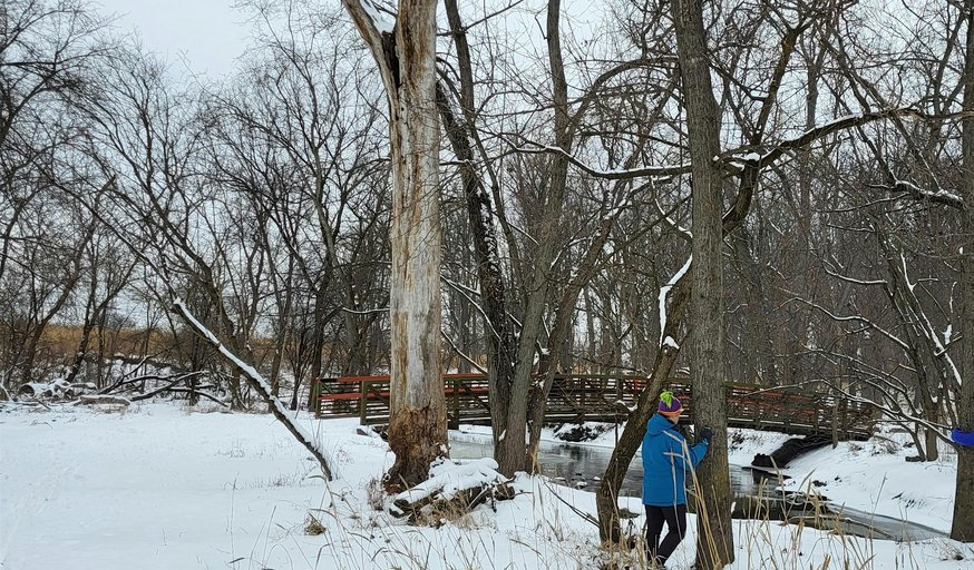 Nature Walk and Forest Bathing for the Birthday of the Trees