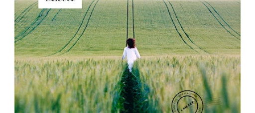 Mastering Details and Precision With Excellence