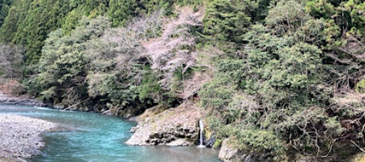 MEDITATION & MINDFULNESS FOR CREATING A MIND OF EASE, RELAXED CONCENTRATION