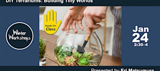 DIY Terrariums: Building Tiny Worlds