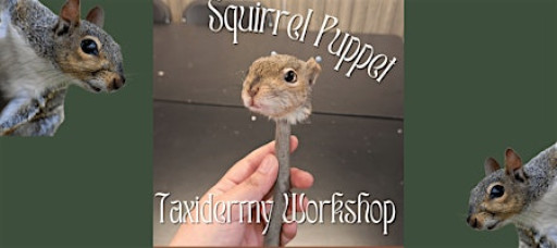 DIY Squirrel Puppet Taxidermy Workshop