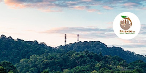 Invasive Species Management @ Rifle Range Nature Park (10 January 2026)