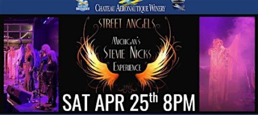 Stevie Nicks Tribute by Street Angel