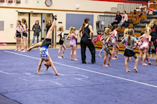 Ballard High School Gymnastics Kids Camp