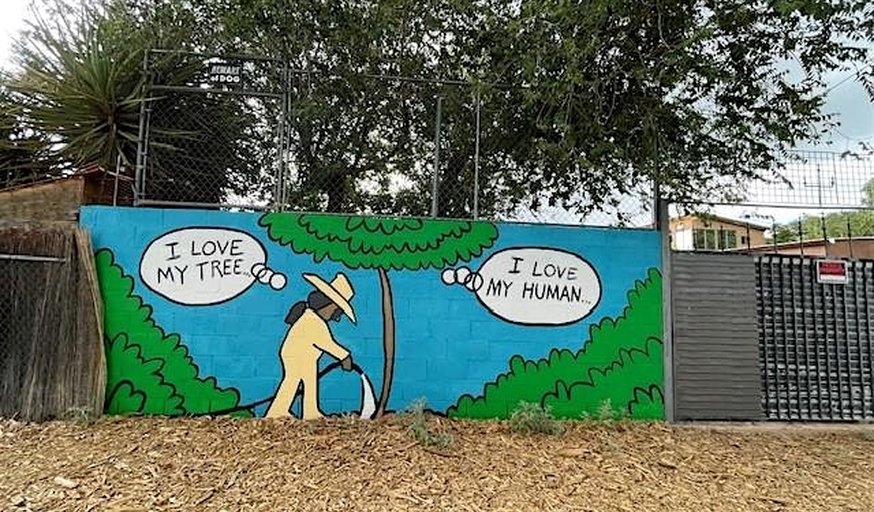 Civic Saturday: Stories, Creativity, and Community Connection