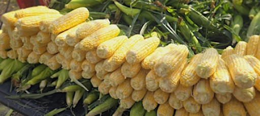 A Taste of Summer Annual Craft Show and Vendor Fair