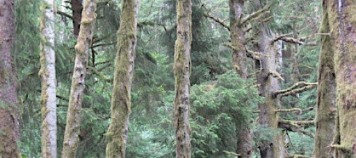 Nature Hike on Indian Point