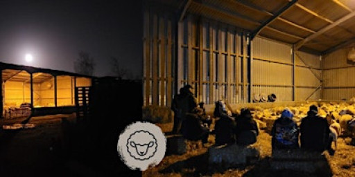 Lambing Evening at Mossy Meadow Farm. ADULTS ONLY Sat 10th January
