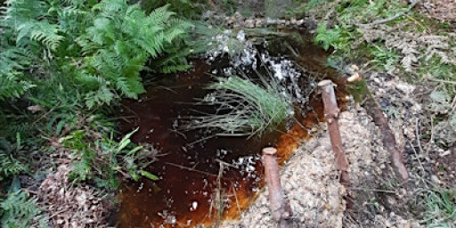 Pond Creation at Coldean Commons!