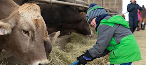 How Now, Winter Cow?