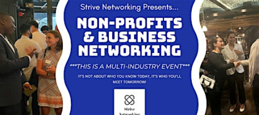 Non-Profits and Business Networking | Elevating Your Potential- Minneapolis