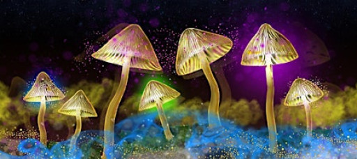 The Science of Psychedelics with Dr David Luke
