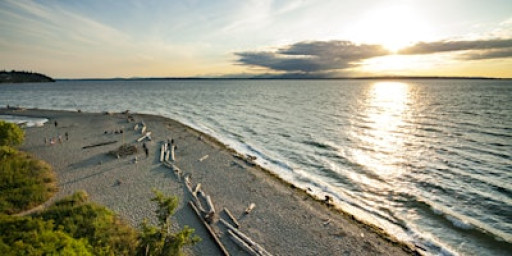Level 1 - Beginning Lapidary -Find / Cut Your Own - Carkeek Park (Tues/Wed)