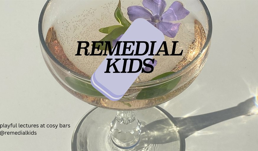 Remedial Kids: playful academic lectures for the culturally curious