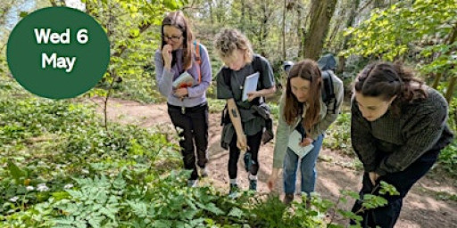 Woodland & Wildlife Social Walk (Members' Only)