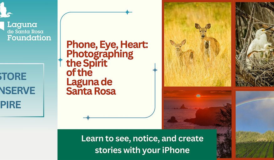 Phone, Eye, Heart: Photographing the Spirit of the Laguna de Santa Rosa