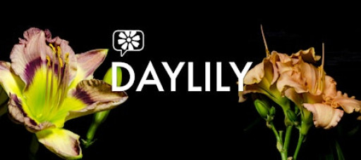 Daylily Documentary Film Screening