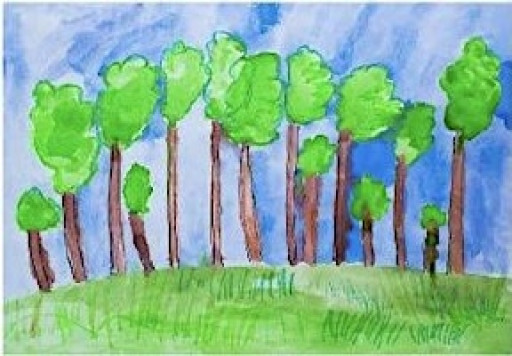 Forest Fun - Early Years