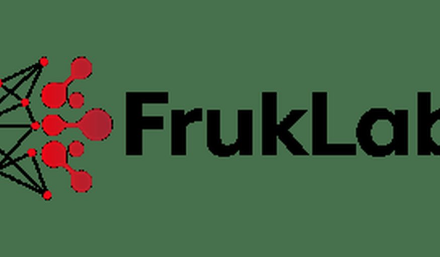 The future of nanomedicine