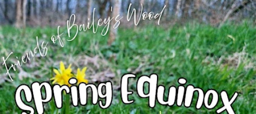 Spring Equinox Walk in the Woods