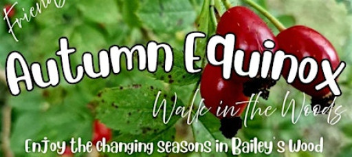 Autumn Equinox Walk in the Woods