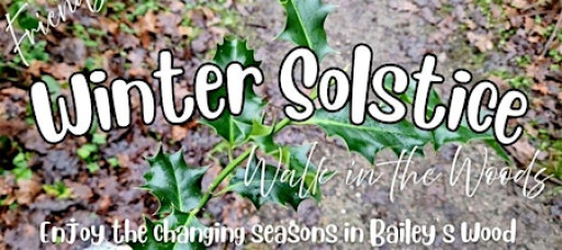 Winter Solstice Walk in the Woods