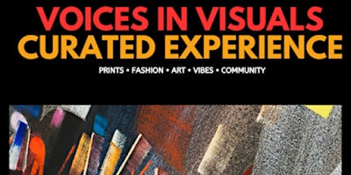 Voices in Visuals Curated Experience