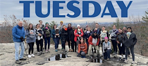 Babes in the Woods Hike