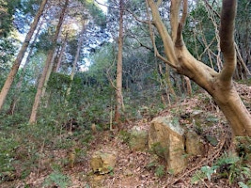 Alternative Music Showcase