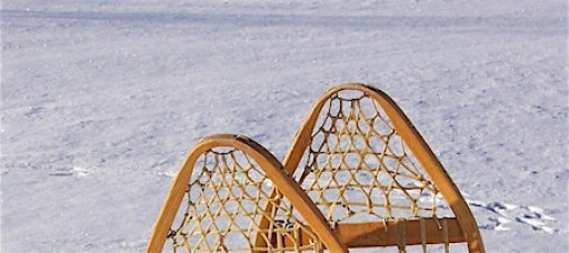 Ranger-Guided Snowshoe Walk: Native Animals