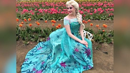 Free Mini Disco with Elsa