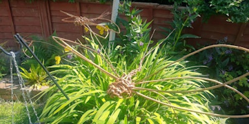 Willow Dragonfly & Bird Feeder Workshop