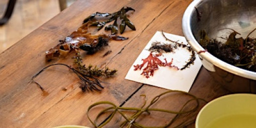 Seaweed Pressing Workshop