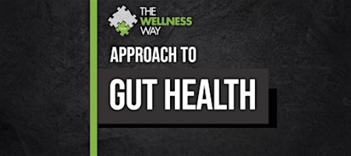 The Wellness Way's Approach to Gut Health