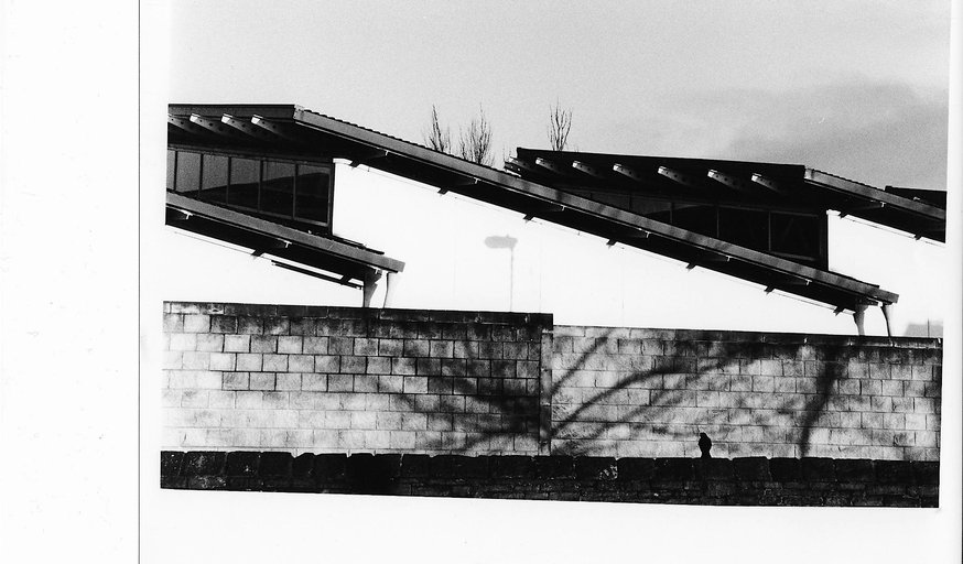 Black and White Film Photography - An Introduction - 5 week course (£160)