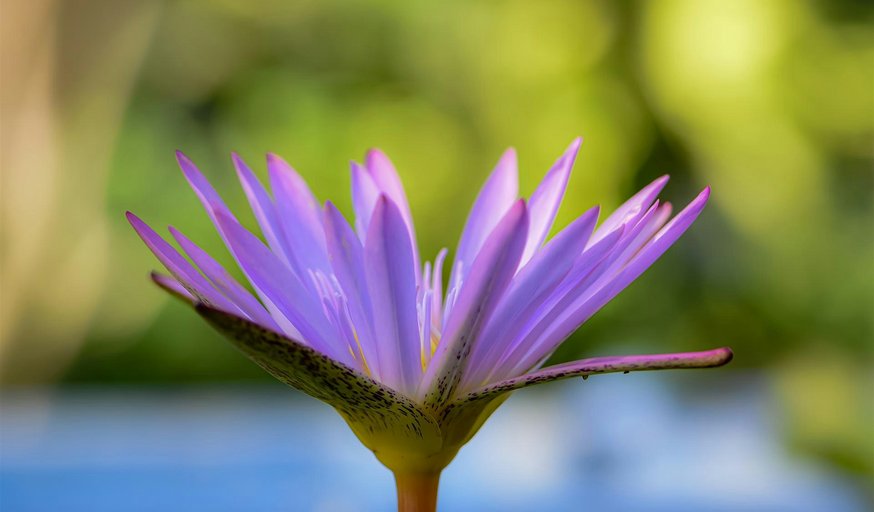 Reiki Beginners Workshop with Jaslyn