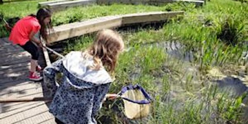 Home Educators' Day: Lifecycles with Pond Dipping - Sutton Courtenay, Tuesday 10 March