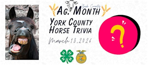 2026 York County 4-H Horse Trivia Night