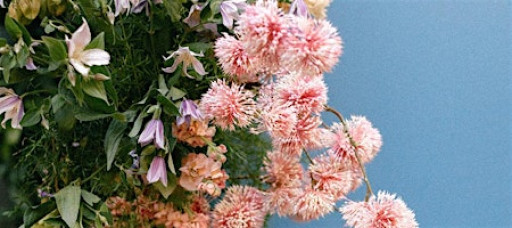 Estancia's Annual Garden Party