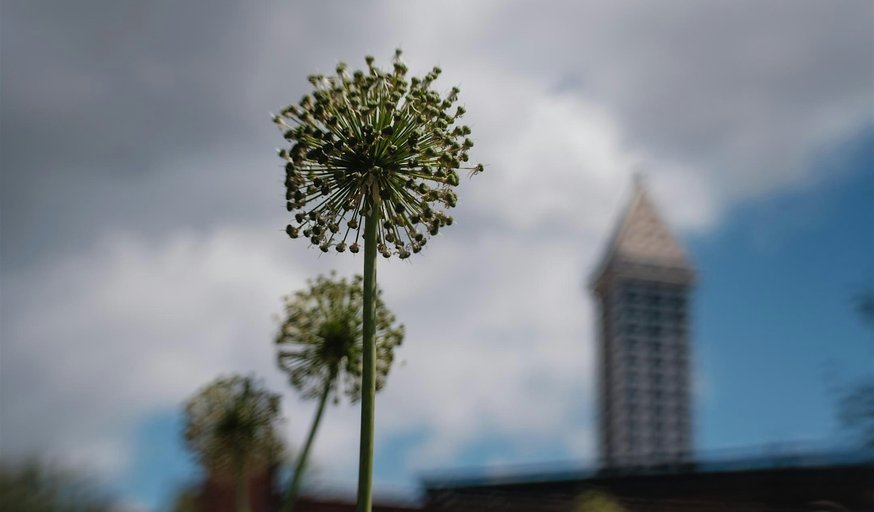 Photowalk: Pioneer Square