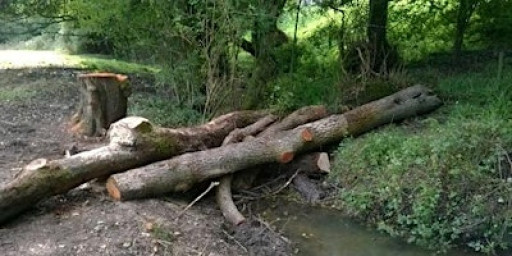 Guided SUDS walk around Robinswood Hill Country Park